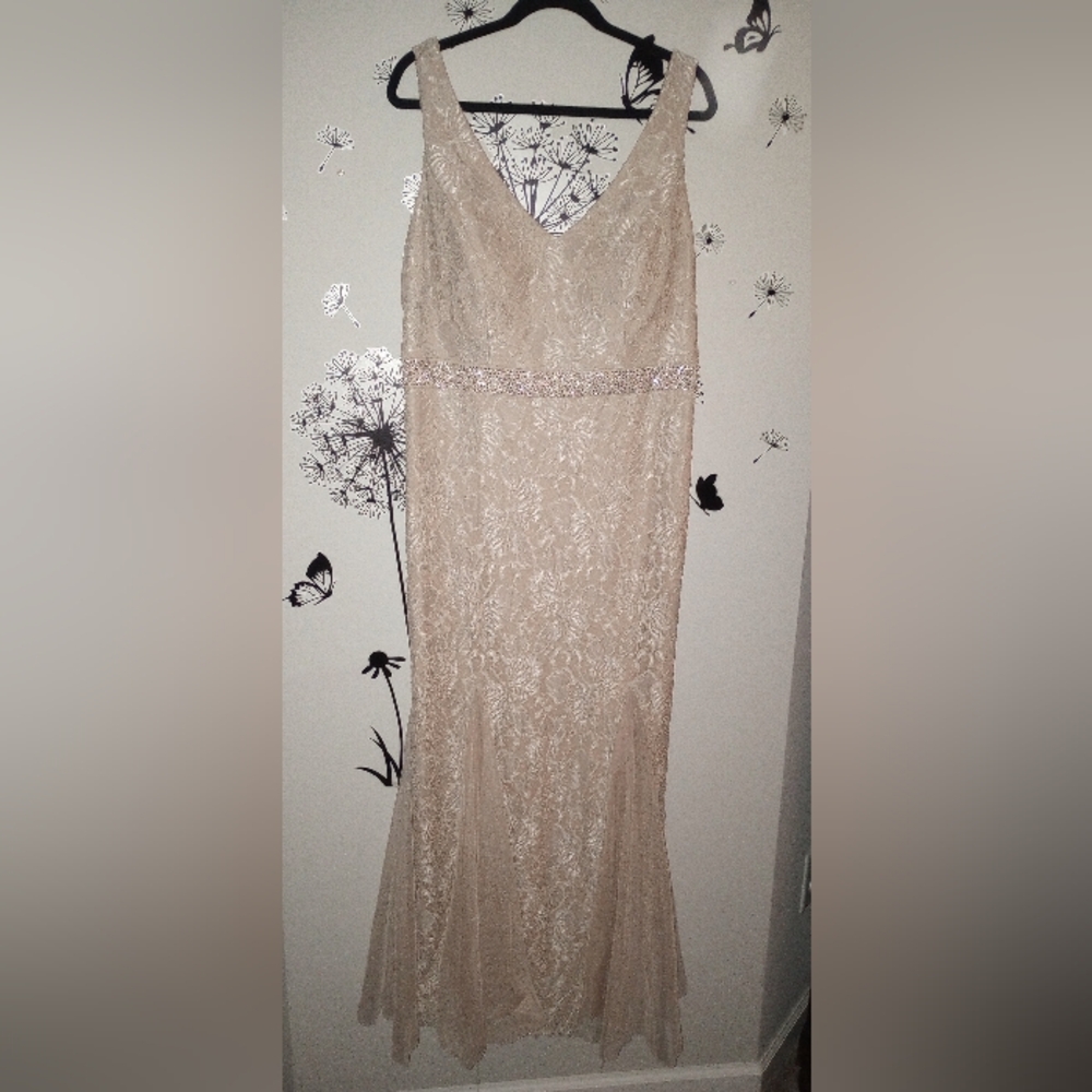 Alex Evenings Lace Maxi Dress